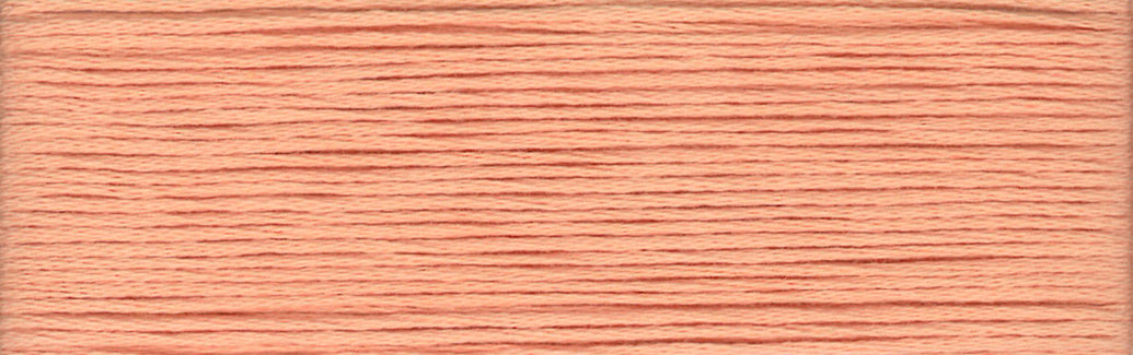 2341 - Cosmo Cotton Embroidery Floss Size 25