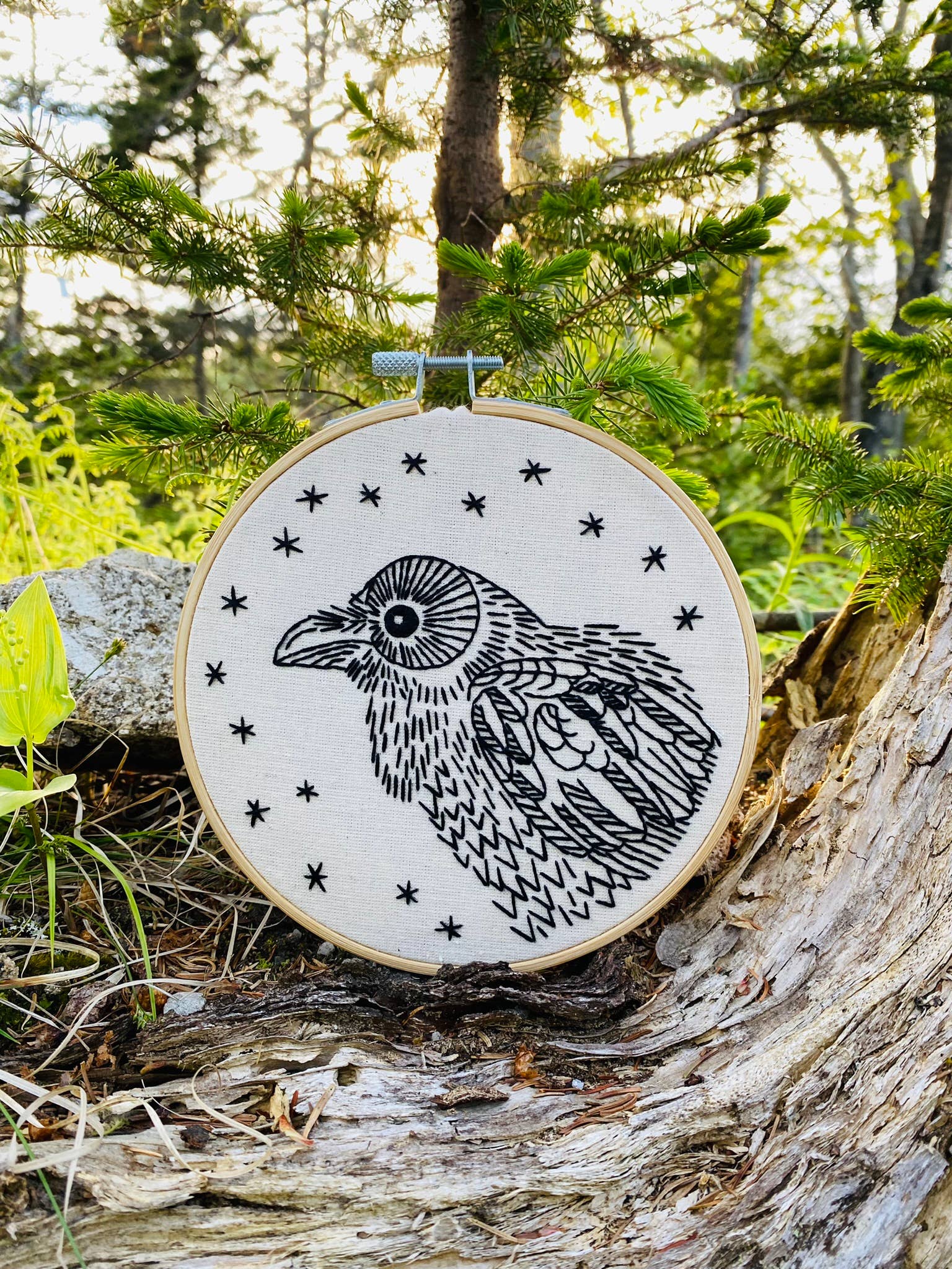 Nevermore Raven Embroidery Kit - Hook, Line, & Tinker