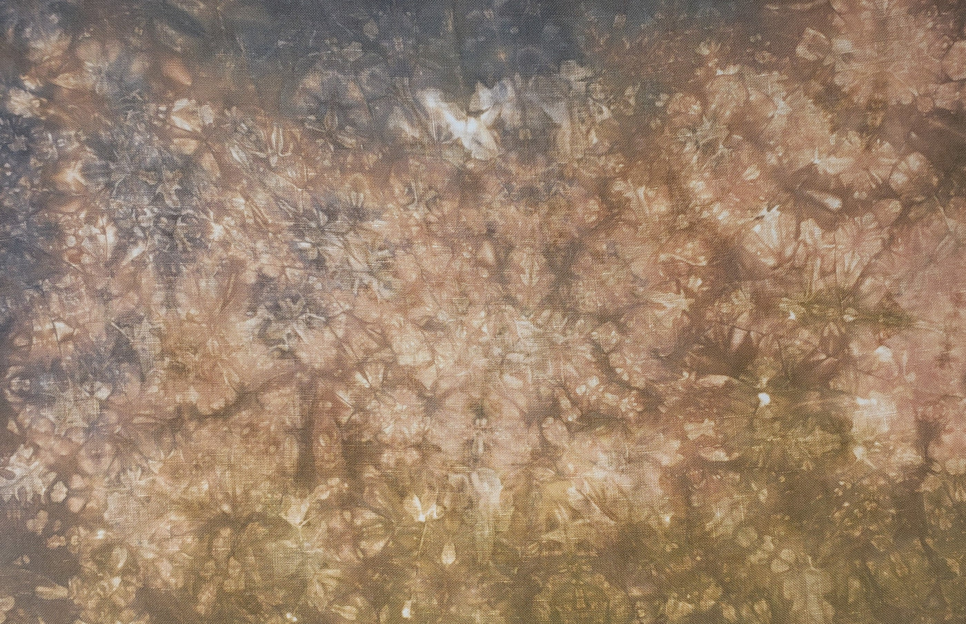 "Acorns" BeStitchMe -Hand Dyed Cross Stitch Fabric