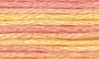 DMC Color Variations - 4100 (Summer Breeze)