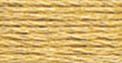 422 (Light Hazelnut Brown) - DMC Embroidery Floss