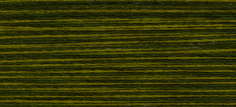 Perle 5 - Bullfrog - Weeks Dye Works Embroidery Floss