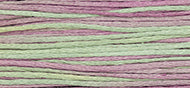 Julian - Weeks Dye Works Embroidery Floss
