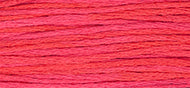 Watermelon Punch - Weeks Dye Works Embroidery Floss