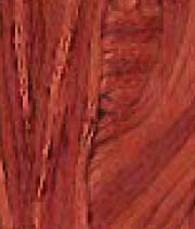 Carolina Cecil - Weeks Dye Works Embroidery Floss