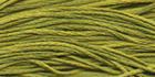 Pepperoncini - Weeks Dye Works Embroidery Floss