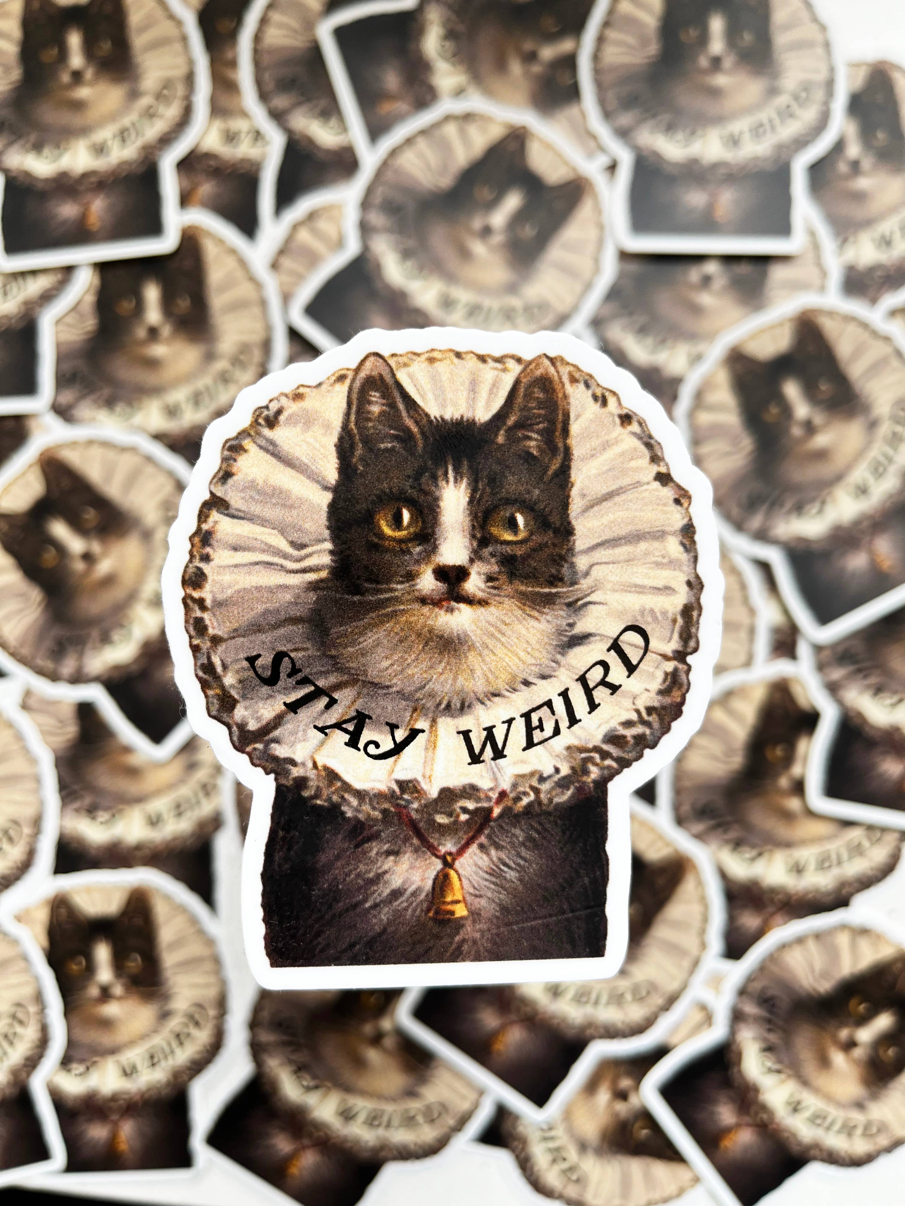 Stay Weird Kitty Sticker - The Coin Laundry