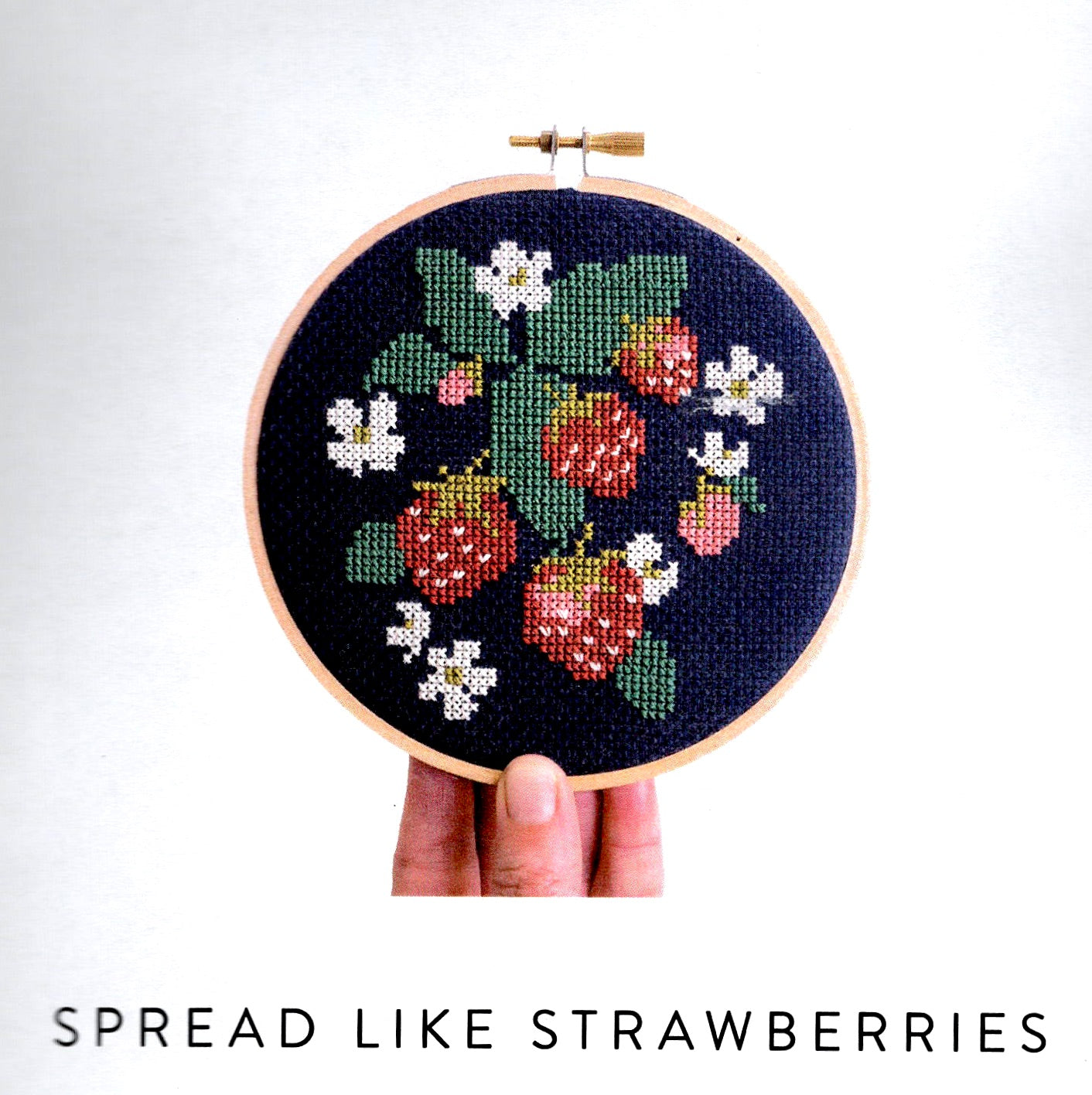Spread Like Strawberries- Junebug & Darlin - Cross Stitch Kit