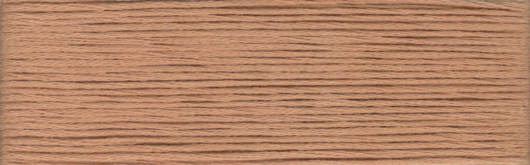 2424 - Cosmo Cotton Embroidery Floss Size 25