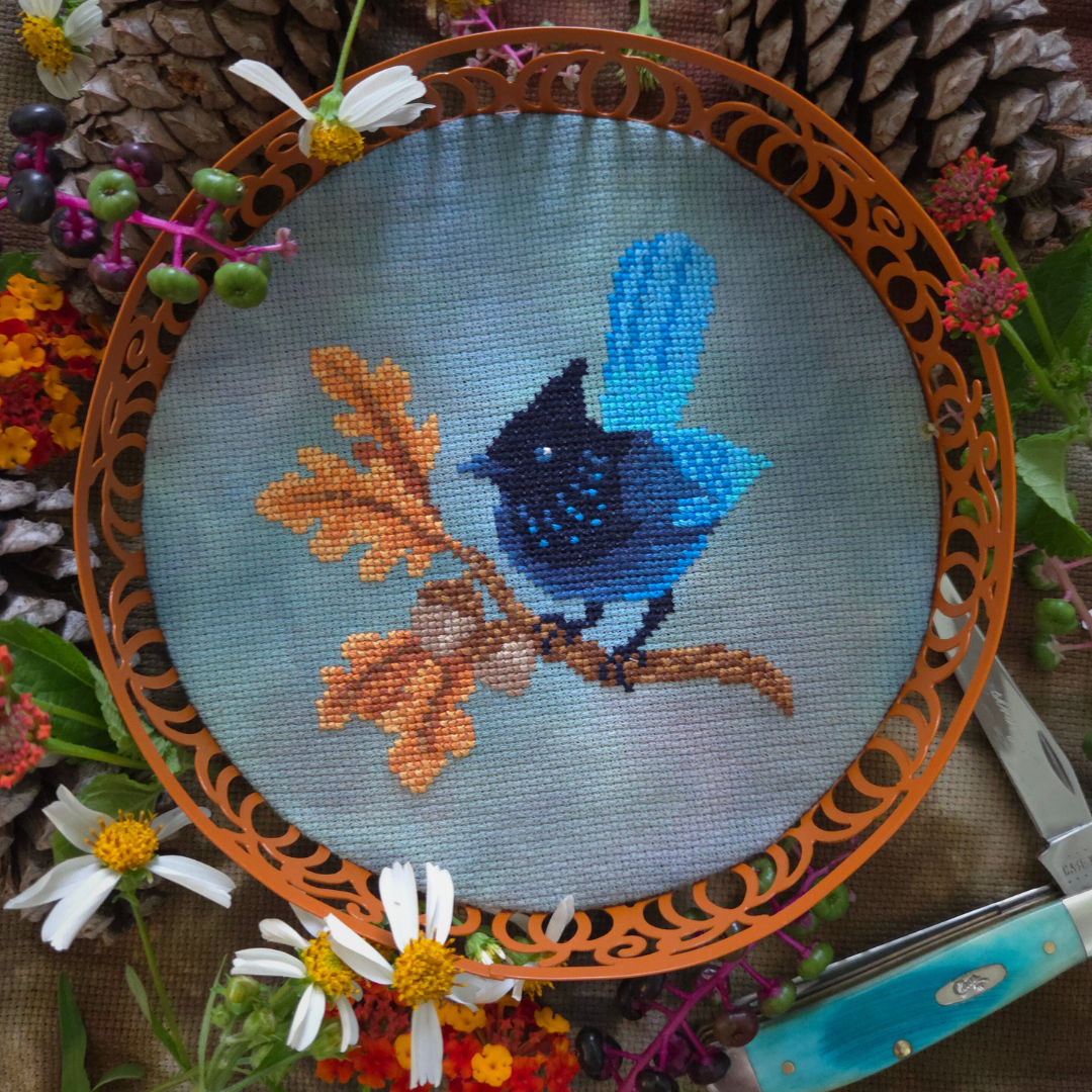 Steller's Jay - BAD Stitch - Cross Stitch Pattern [Needlework Marketplace 2026]