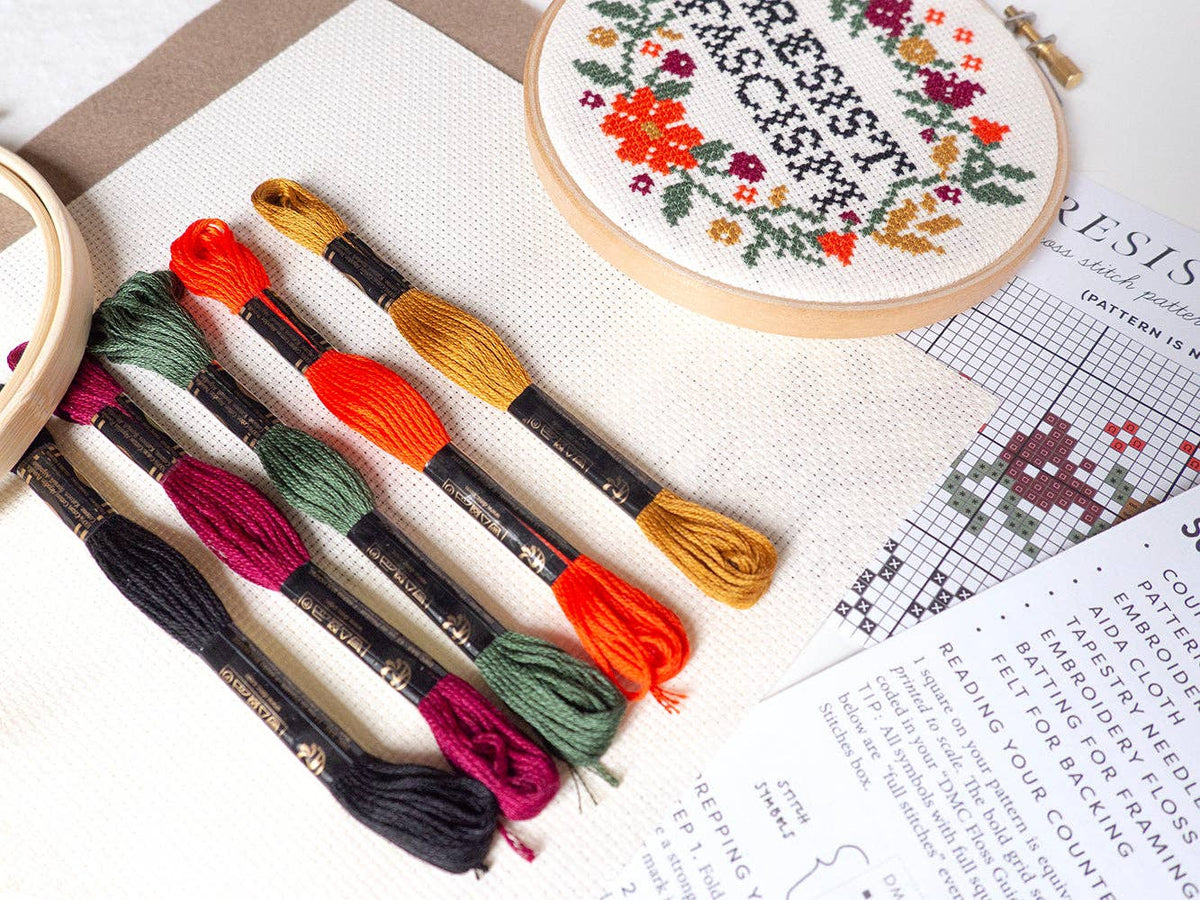 Resist Fascism Cross Stitch Kit - Junebug & Darlin