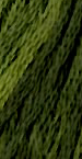Green with Envy - The Gentle Art Embroidery Floss