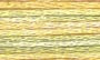 DMC Color Variations - 4080 (Daffodil Fields)