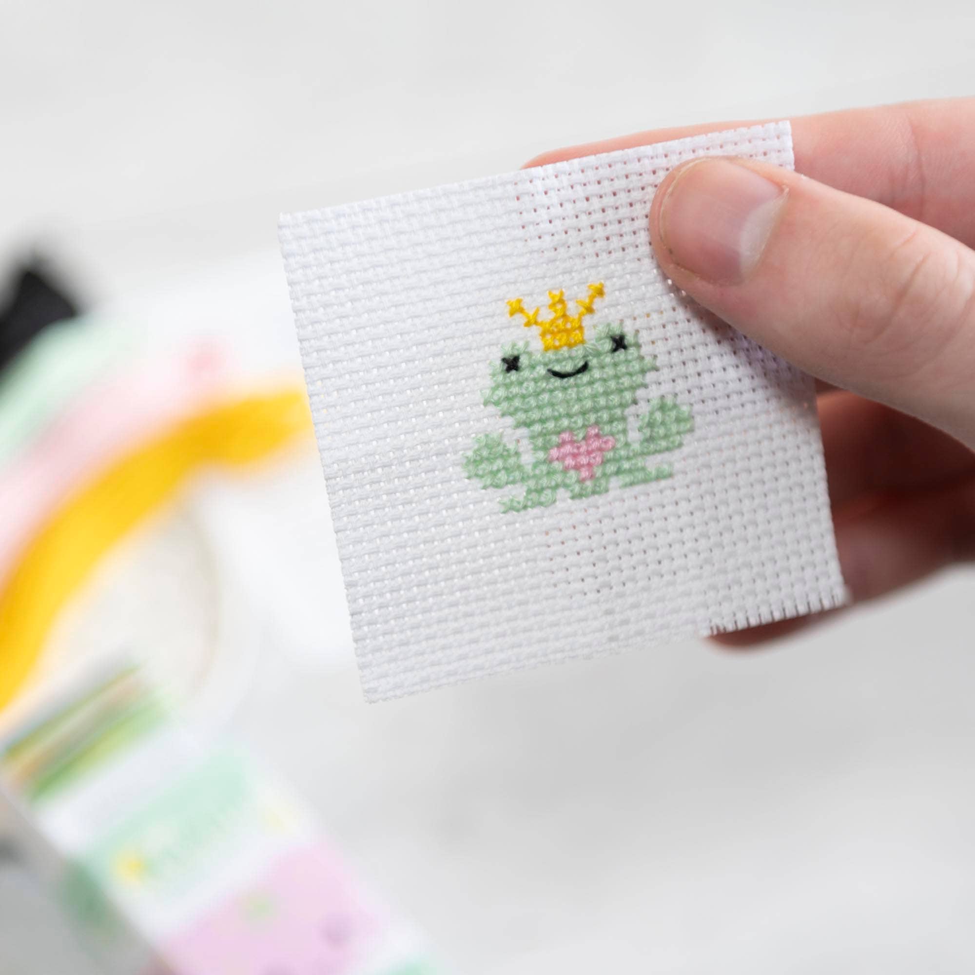Kawaii Frog Prince Mini Cross Stitch Kit - Marvling Bros Ltd