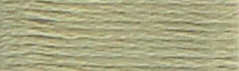 3053 (Green Gray ) - DMC Embroidery Floss