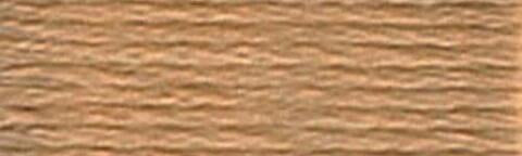 3828 (Hazelnut Brown ) - DMC Embroidery Floss