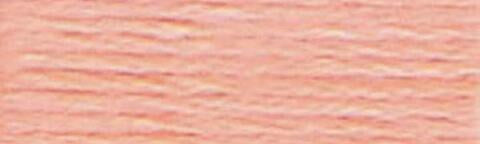 3824 (Light Apricot ) - DMC Embroidery Floss