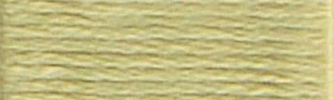 3348 (Light Yellow Green ) - DMC Embroidery Floss
