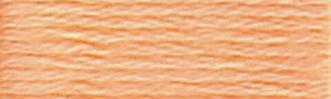 3825 (Pale Pumpkin ) - DMC Embroidery Floss