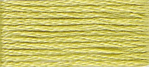 12 (Tender Green) - DMC Embroidery Floss