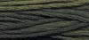 Desert Mesquite - Classic Colorworks Embroidery Floss