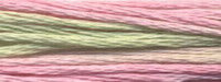 Cottage Garden - Classic Colorworks Embroidery Floss