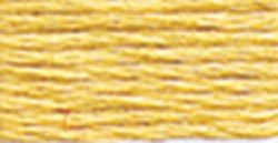 676 (Light Old Gold ) - DMC Embroidery Floss
