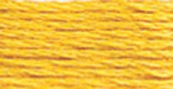 725 (Medium Light Topaz) - DMC Embroidery Floss