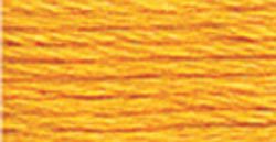 742 (Light Tangerine) - DMC Embroidery Floss