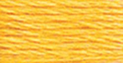 743 (Medium Yellow) - DMC Embroidery Floss