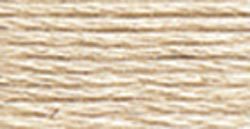 822 (Light Beige Gray ) - DMC Embroidery Floss