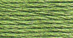 989 (Forest Green ) - DMC Embroidery Floss