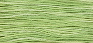 Wasabi - Weeks Dye Works Embroidery Floss