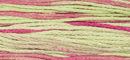 Coleus - Weeks Dye Works Embroidery Floss