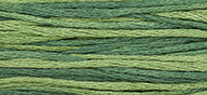 Collards - Weeks Dye Works Embroidery Floss