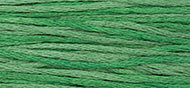Hunter - Weeks Dye Works Embroidery Floss