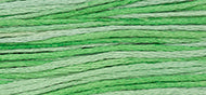 Cactus - Weeks Dye Works Embroidery Floss