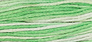 Iceberg - Weeks Dye Works Embroidery Floss