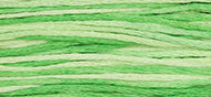 Granny Smith - Weeks Dye Works Embroidery Floss
