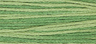 Ivy - Weeks Dye Works Embroidery Floss