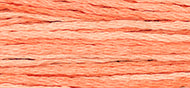 Cantaloupe - Weeks Dye Works Embroidery Floss