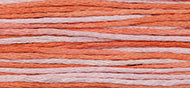Flamingo - Weeks Dye Works Embroidery Floss