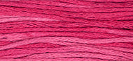 Strawberry Fields - Weeks Dye Works Embroidery Floss