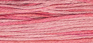 Camellia - Weeks Dye Works Embroidery Floss