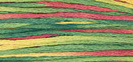Noel - Weeks Dye Works Embroidery Floss