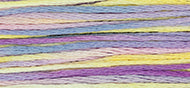 Celebration - Weeks Dye Works Embroidery Floss