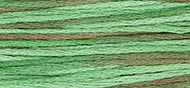 Foliage - Weeks Dye Works Embroidery Floss