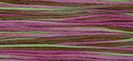 Spumoni - Weeks Dye Works Embroidery Floss