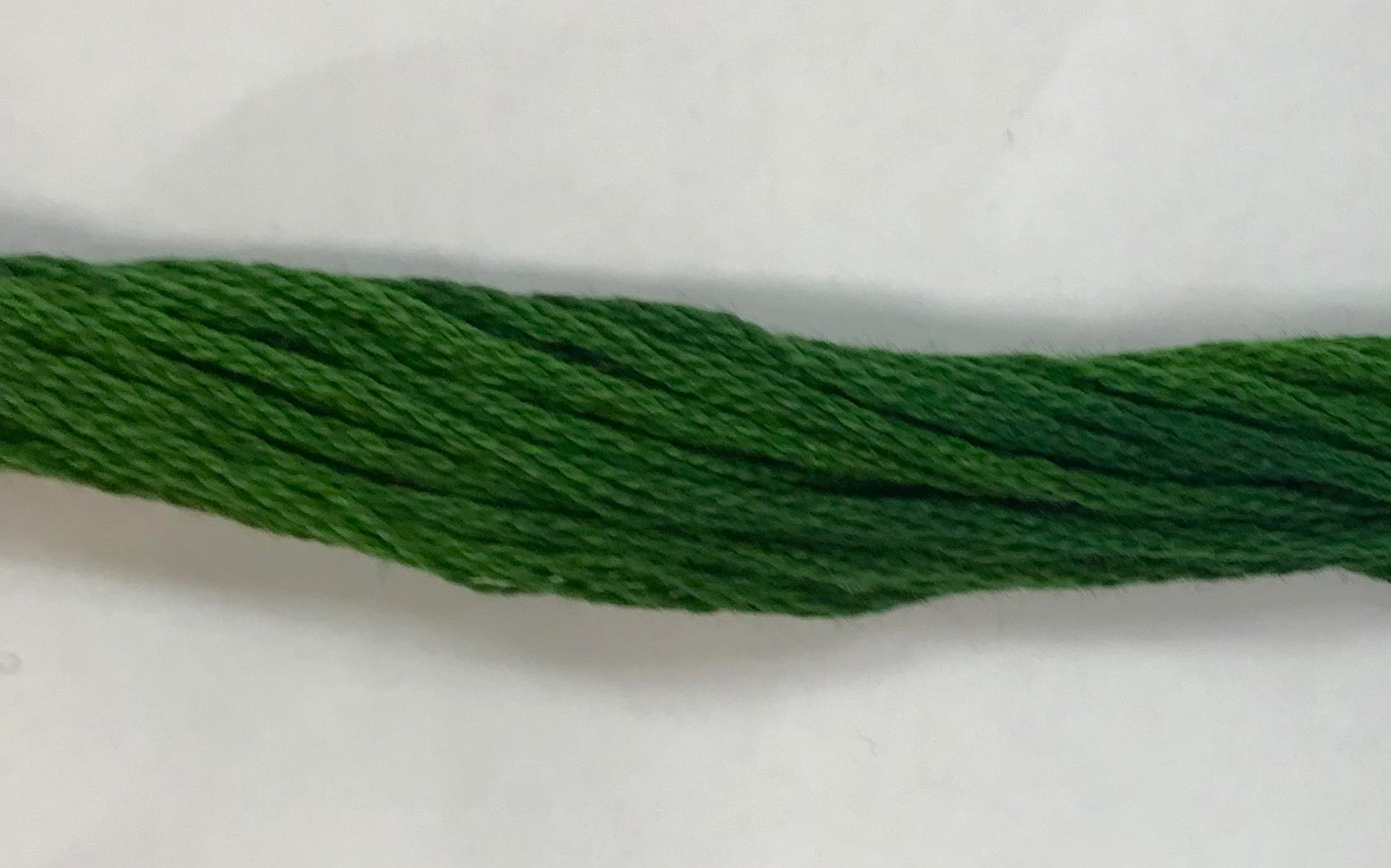 Grasshopper - Classic Colorworks Embroidery Floss