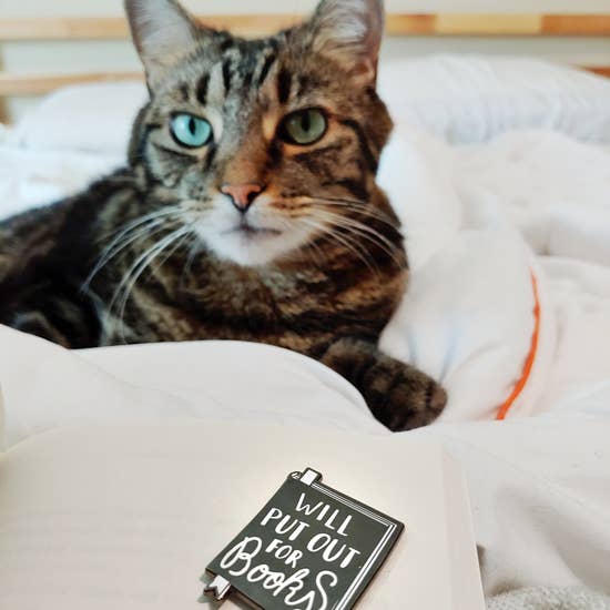 Will Put Out for Books Needle Minder/Magnetic Enamel Pin - Holly Oddly